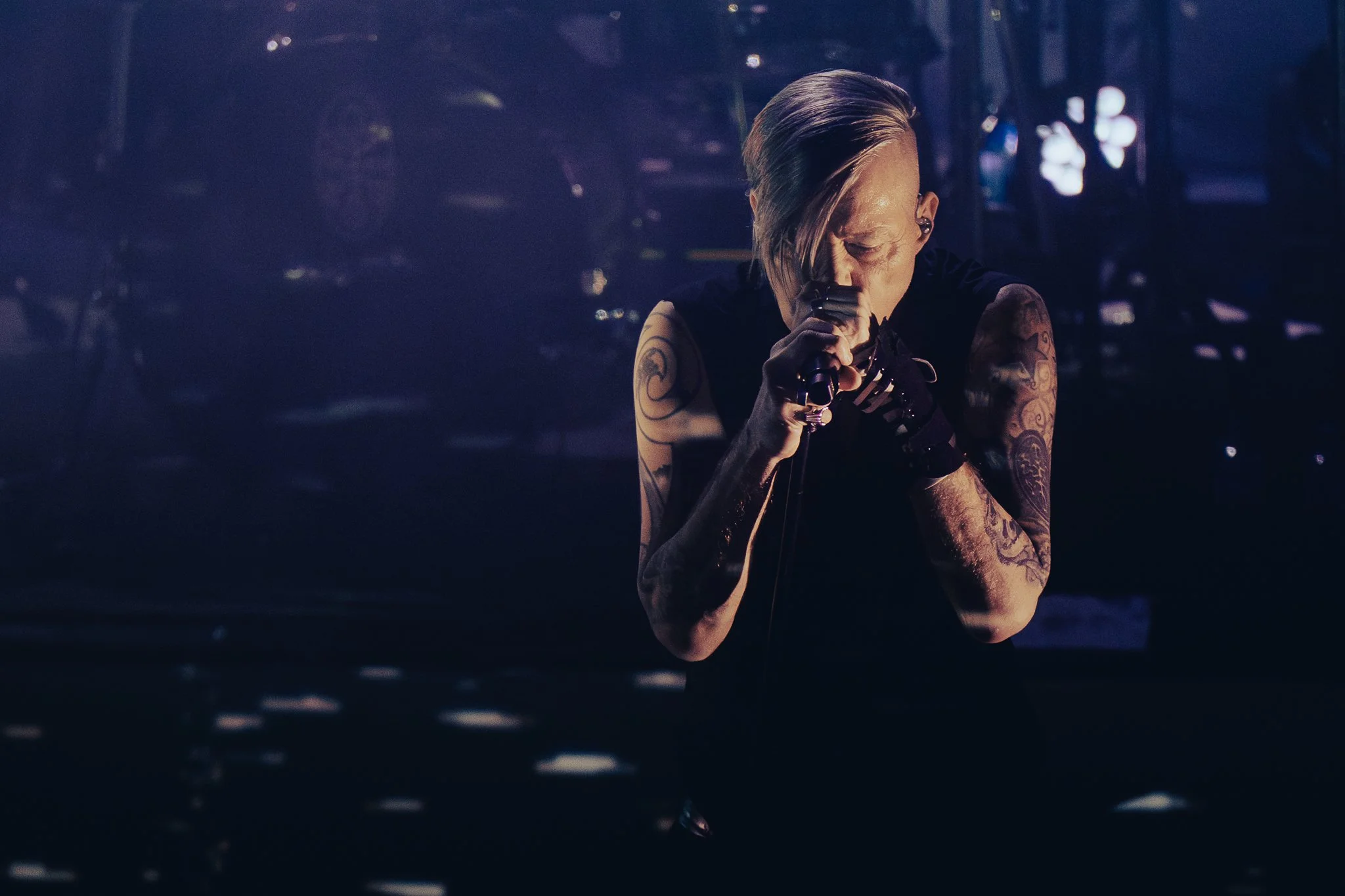 Concert photo of Seigmen